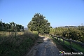 VBS_5727 - C'è un mare di velluto verde! E tu che sognavi di andare lontano... Quanta meraviglia, quì!